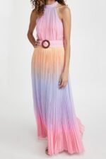 Clare Printed Plisse Halterneck Maxi Dress