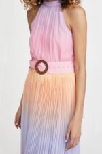 Clare Printed Plisse Halterneck Maxi Dress - Image 3