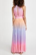 Clare Printed Plisse Halterneck Maxi Dress - Image 4