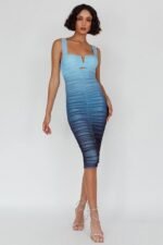 Nelly Printed Gathered Mesh Midi Dress